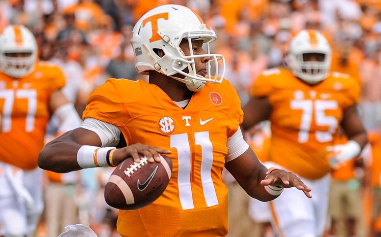 Tennessee Vols Theme screenshot #8