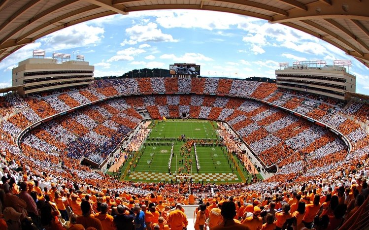 Tennessee Vols Theme screenshot #9