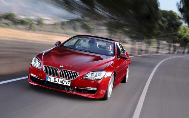 BMW Theme screenshot #29