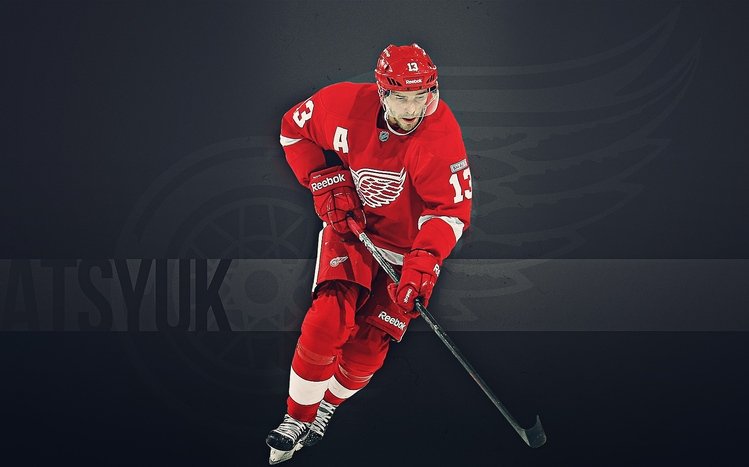 Detroit Red Wings Theme screenshot #14