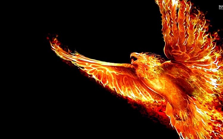 Phoenix Theme screenshot #1