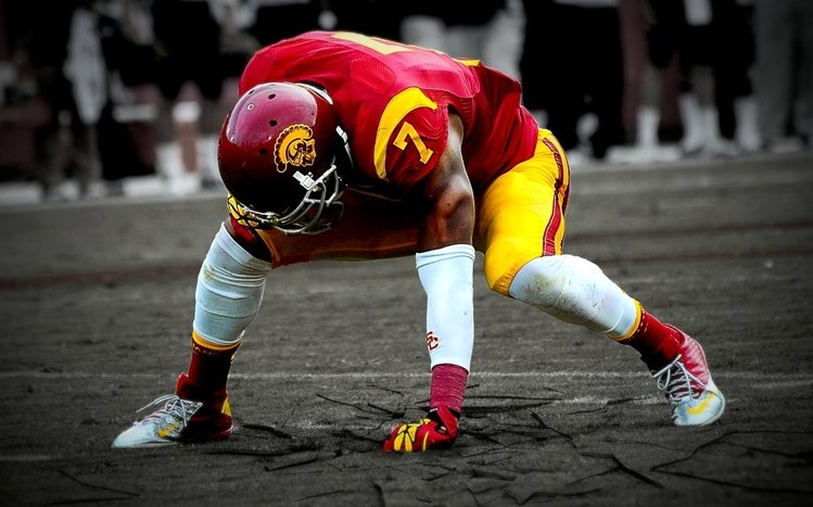 USC Theme screenshot #12