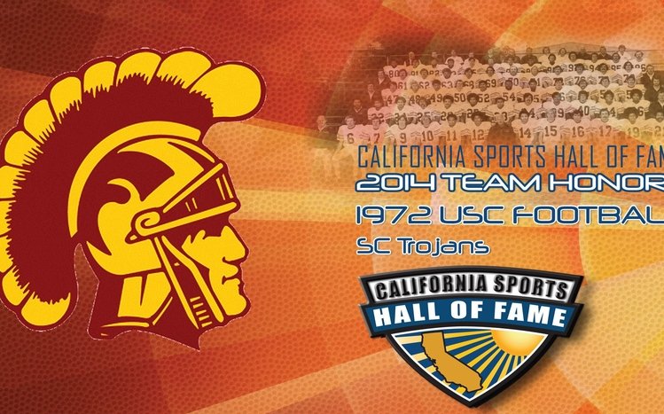 USC Theme screenshot #1