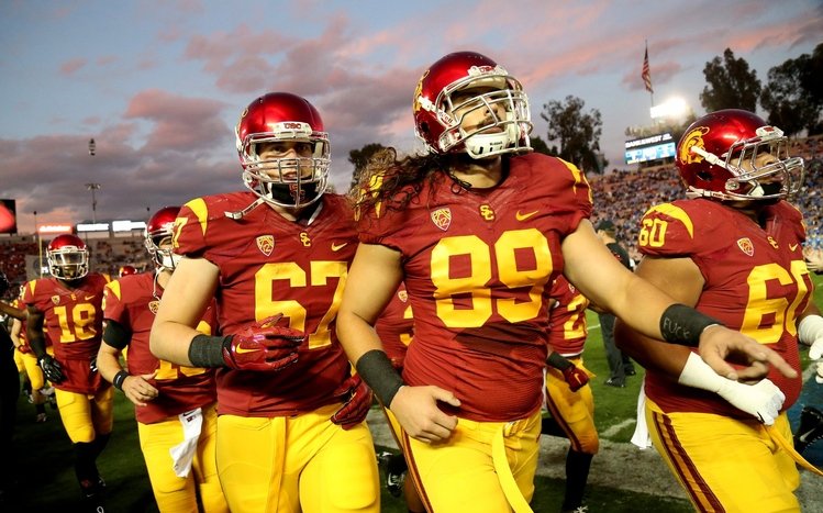 USC Theme screenshot #4