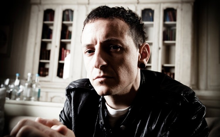 Linkin Park Theme screenshot #5