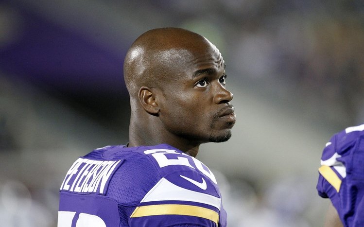 Adrian Peterson Theme screenshot #4