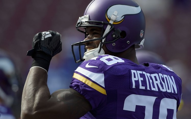 Adrian Peterson Theme screenshot #8