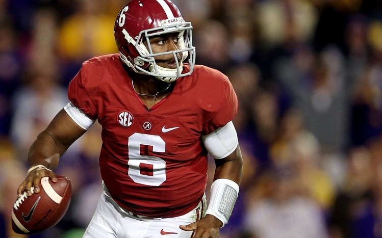 Alabama Crimson Tide Theme screenshot #6