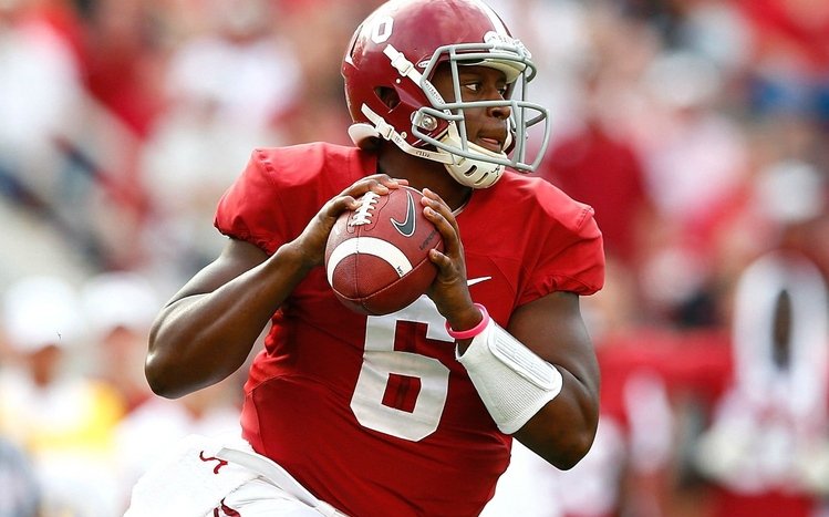 Alabama Crimson Tide Theme screenshot #9