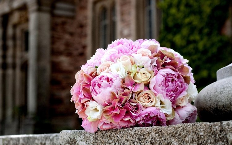 Peony Theme screenshot #10