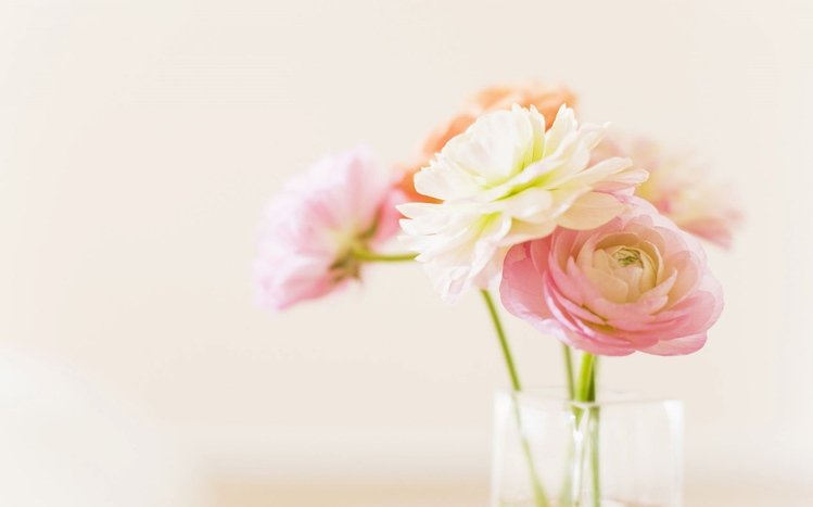 Peony Theme screenshot #13