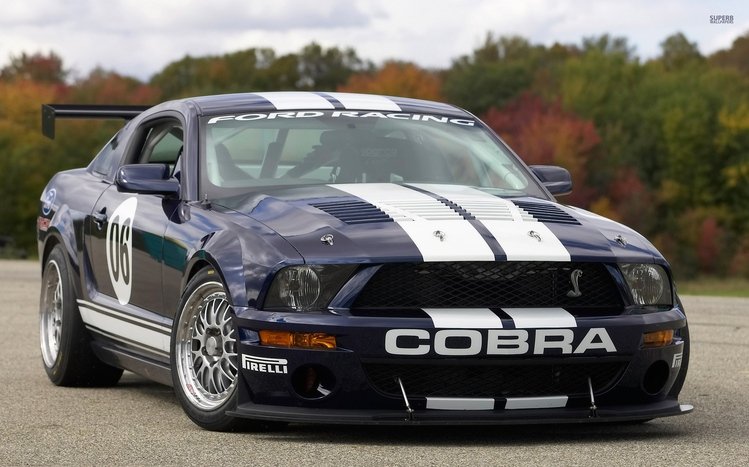 Ford Theme screenshot #13