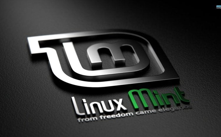 Linux Mint Windows 11/10 Theme - themepack.me