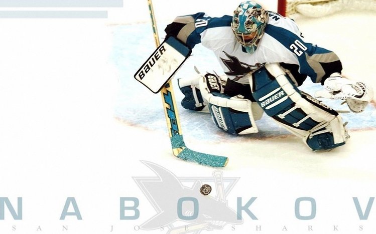 San Jose Sharks Theme screenshot #12