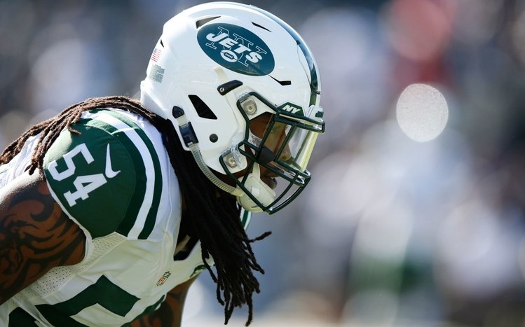 New York Jets Theme screenshot #14