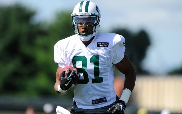 New York Jets Theme screenshot #11