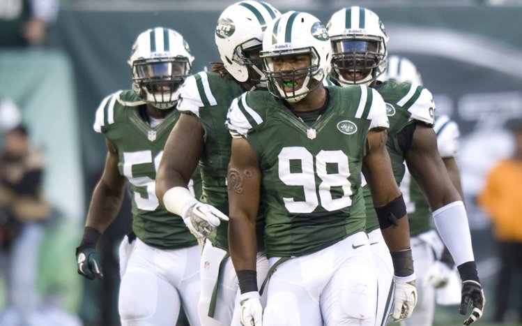 New York Jets Theme screenshot #12