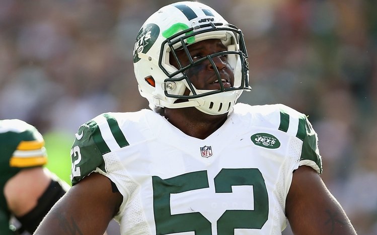 New York Jets Theme screenshot #10