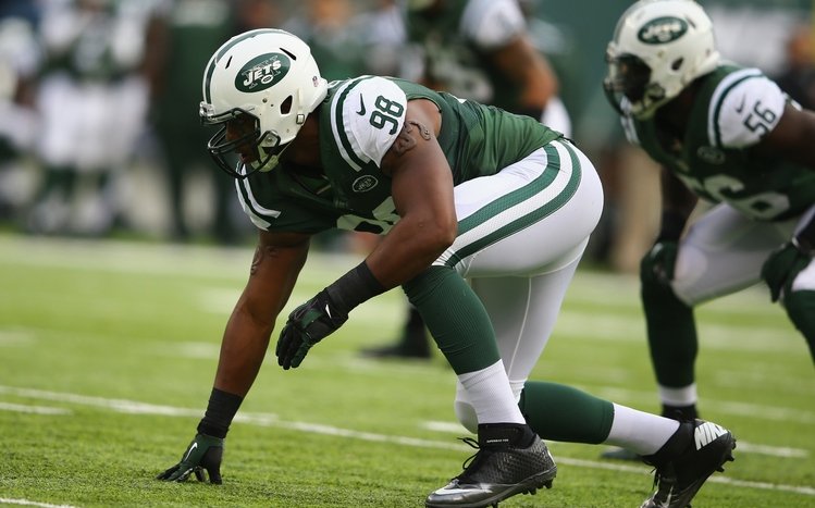 New York Jets Theme screenshot #13