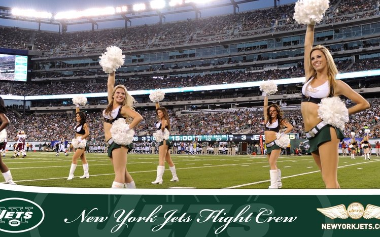 New York Jets Theme screenshot #4