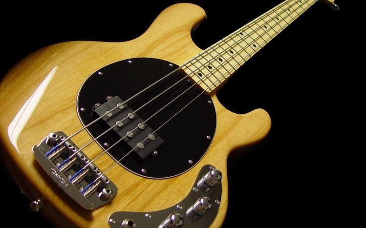 Bass Guitar Theme screenshot #5