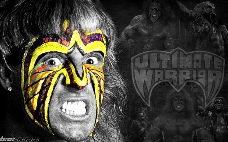 The Ultimate Warrior Theme screenshot #10