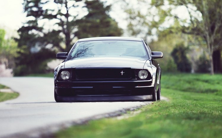 Lowrider Theme screenshot #11