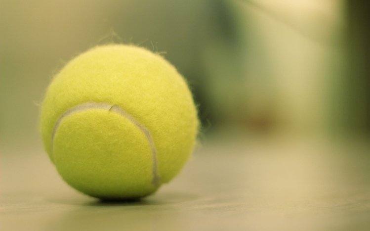 100 Tennis Pictures  Download Free Images on Unsplash