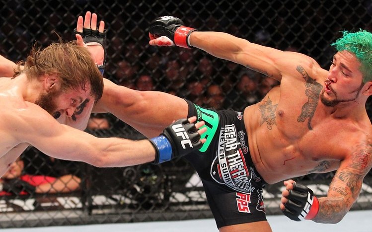 MMA Theme screenshot #15