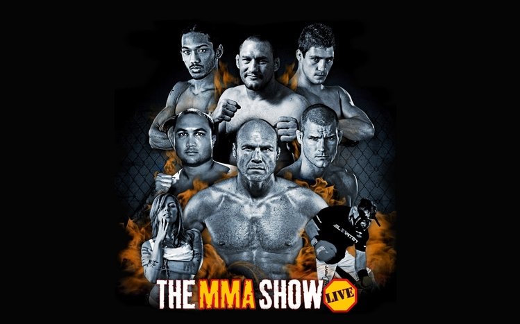 MMA Theme screenshot #9