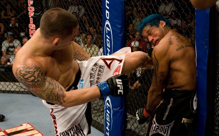 MMA Theme screenshot #17