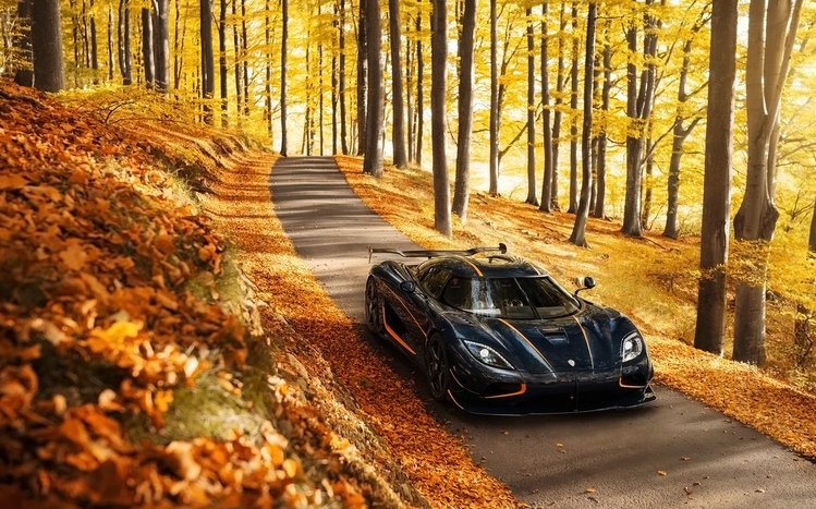 Koenigsegg Theme screenshot #2