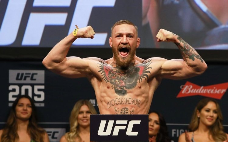 Conor McGregor Theme screenshot #3