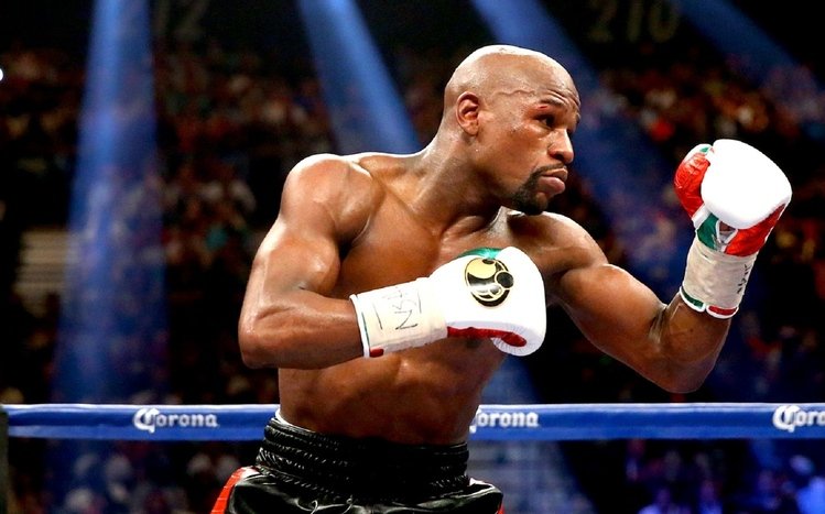 Floyd Mayweather Theme screenshot #6