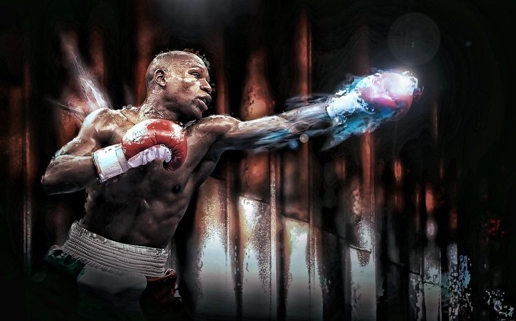 Floyd Mayweather Theme screenshot #12