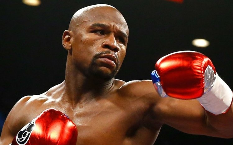 Floyd Mayweather Theme screenshot #8