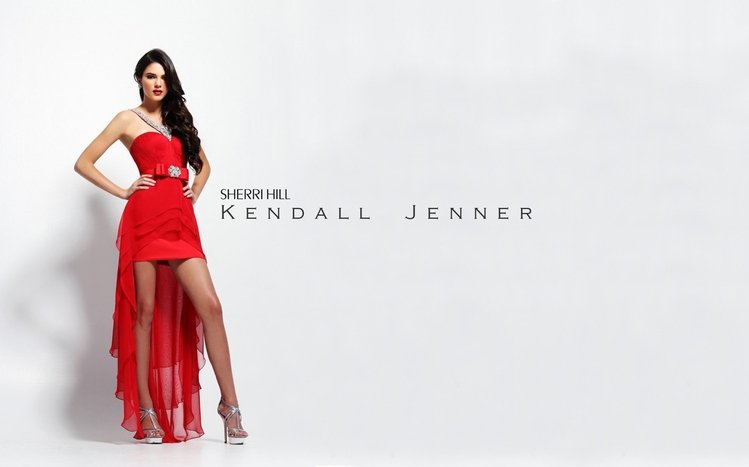 Kendall Jenner Theme screenshot #4