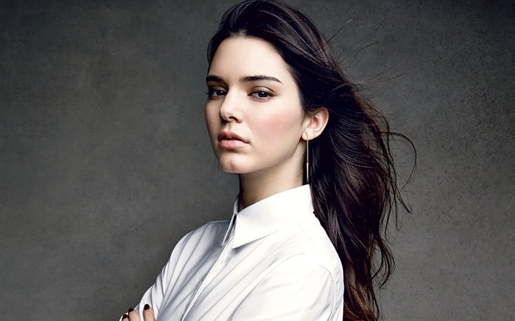 Kendall Jenner Theme screenshot #15