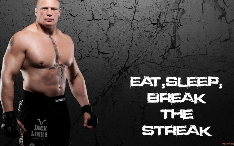 Brock Lesnar Theme screenshot #7