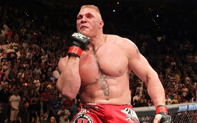 Brock Lesnar Theme screenshot #10