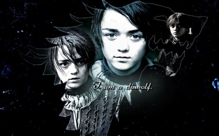 Starks (House Stark) Theme screenshot #6