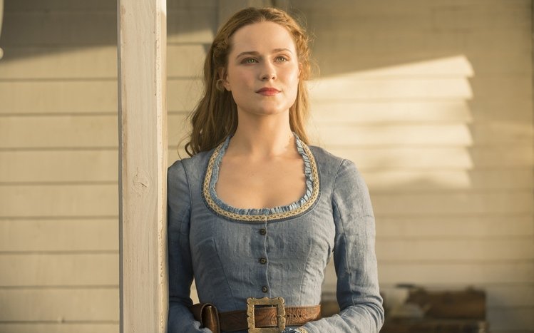Westworld Theme screenshot #10
