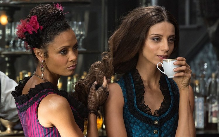 Westworld Theme screenshot #12