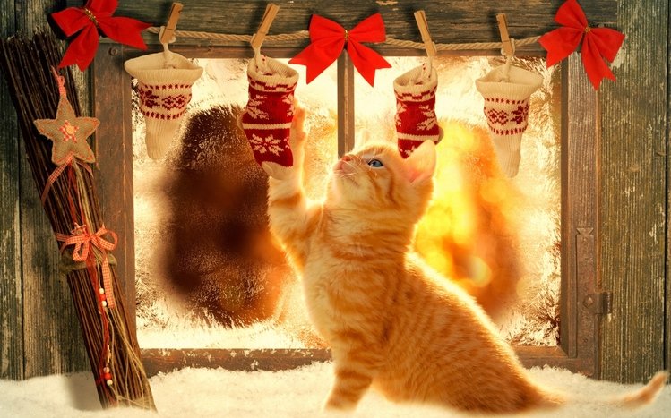 Happy Cat and Dog in Santa Claus costume with bokeh light and snowflakes  background Animal and Christmas day concept Generative AI 23904774 Stock  Photo at Vecteezy