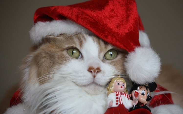 Christmas Cute Animals Theme screenshot #11