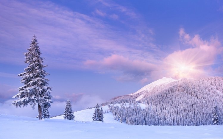 Snowy Landscapes Theme screenshot #16