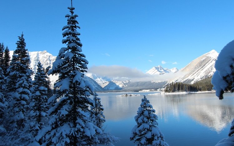 Snowy Landscapes Theme screenshot #18