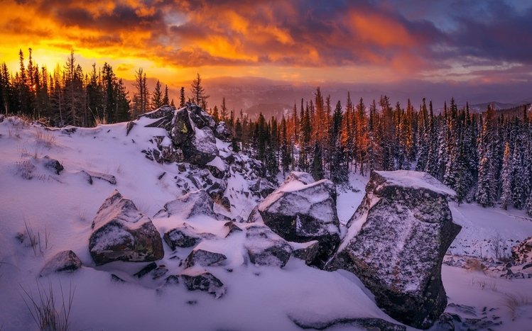 Snowy Landscapes Theme screenshot #5