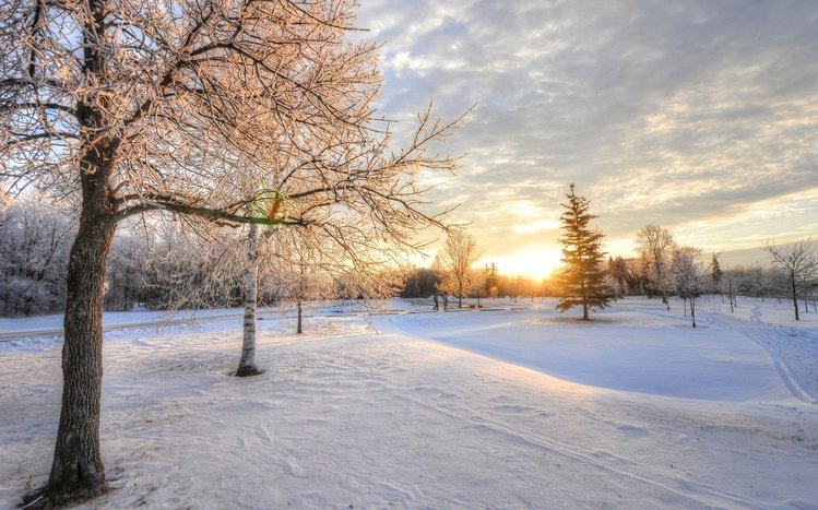 Snowy Landscapes Theme screenshot #8