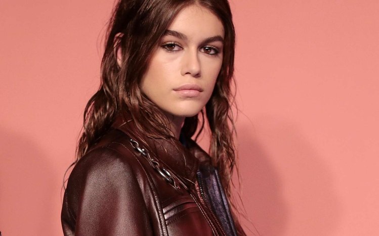 Kaia Jordan Gerber Theme screenshot #7